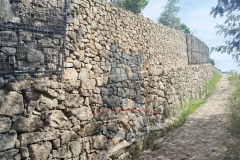 Helårsgrund i Ponte de Lima, Viana do Castelo, Ponte de Lima - € 58.000 | Ref: TL040 - foto 12