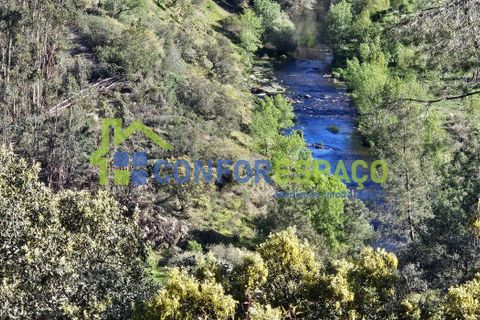 Helårsgrund i Castelo Branco, Castelo Branco, Castelo Branco - € 27.500 | Ref: 26010 - foto 3