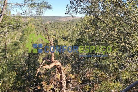 Helårsgrund i Castelo Branco, Castelo Branco, Castelo Branco - € 27.500 | Ref: 26010 - foto 4