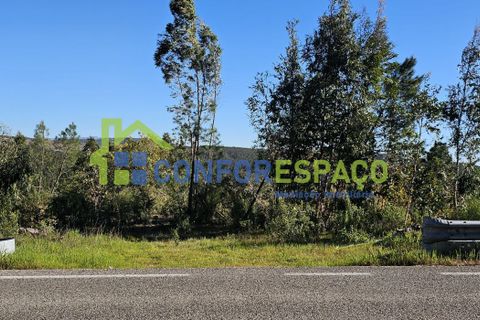Helårsgrund i Castelo Branco, Castelo Branco, Castelo Branco - € 27.500 | Ref: 26010 - foto 5
