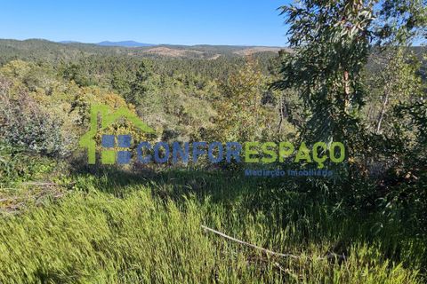 Helårsgrund i Castelo Branco, Castelo Branco, Castelo Branco - € 27.500 | Ref: 26010 - foto 7
