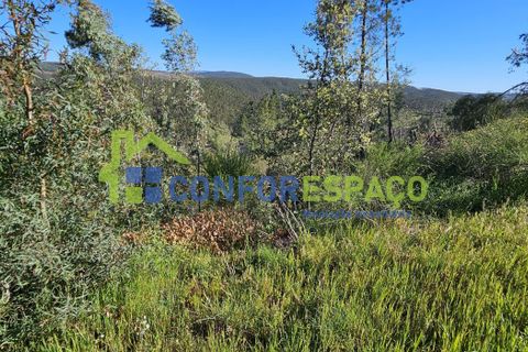 Helårsgrund i Castelo Branco, Castelo Branco, Castelo Branco - € 27.500 | Ref: 26010 - foto 8