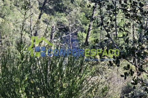Helårsgrund i Castelo Branco, Castelo Branco, Castelo Branco - € 27.500 | Ref: 26010 - foto 9