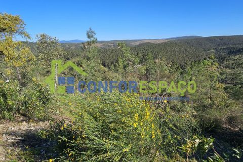 Helårsgrund i Castelo Branco, Castelo Branco, Castelo Branco - € 27.500 | Ref: 26010 - foto 11