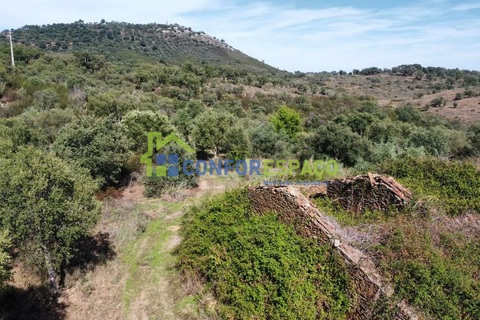 Landejendom i Castelo Branco, Castelo Branco, Castelo Branco - € 115.000 | Ref: 26034 - foto 2