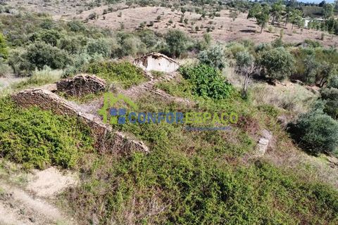 Landejendom i Castelo Branco, Castelo Branco, Castelo Branco - € 115.000 | Ref: 26034 - foto 3