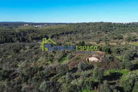 Landejendom i Castelo Branco, Castelo Branco, Castelo Branco - € 115.000 | Ref: 26034 - foto 4