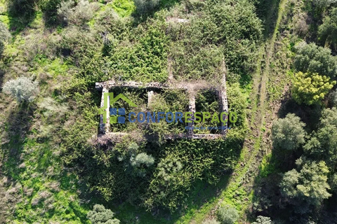 Landejendom i Castelo Branco, Castelo Branco, Castelo Branco - € 115.000 | Ref: 26034 - foto 5