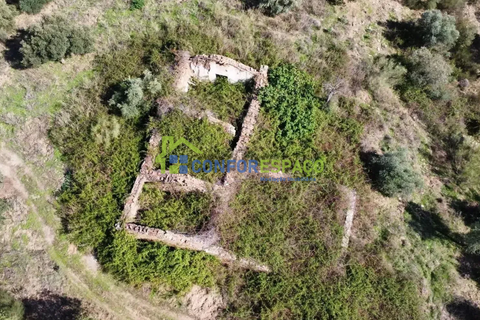 Landejendom i Castelo Branco, Castelo Branco, Castelo Branco - € 115.000 | Ref: 26034 - foto 7
