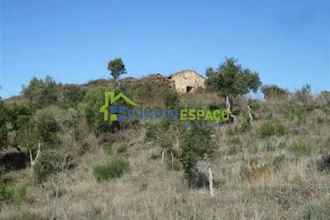 Landejendom i Castelo Branco, Castelo Branco, Castelo Branco - € 115.000 | Ref: 26034 - foto 8
