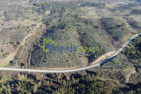 Landejendom i Castelo Branco, Castelo Branco, Castelo Branco - € 115.000 | Ref: 26034 - foto 10