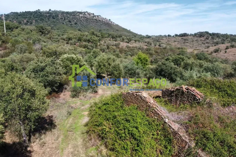 Landejendom i Castelo Branco, Castelo Branco, Castelo Branco - € 115.000 | Ref: 26034 - foto 16