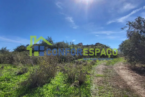 Landejendom i Castelo Branco, Castelo Branco, Castelo Branco - € 115.000 | Ref: 26034 - foto 17