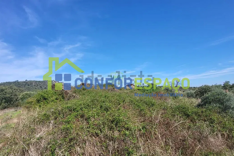 Landejendom i Castelo Branco, Castelo Branco, Castelo Branco - € 115.000 | Ref: 26034 - foto 20