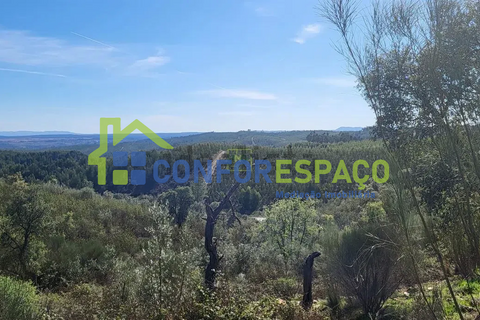 Landejendom i Castelo Branco, Castelo Branco, Castelo Branco - € 115.000 | Ref: 26034 - foto 21