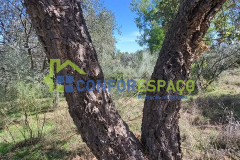 Landejendom i Castelo Branco, Castelo Branco, Castelo Branco - € 115.000 | Ref: 26034 - foto 22