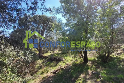 Landejendom i Castelo Branco, Castelo Branco, Castelo Branco - € 115.000 | Ref: 26034 - foto 23