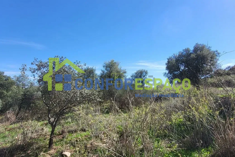 Landejendom i Castelo Branco, Castelo Branco, Castelo Branco - € 115.000 | Ref: 26034 - foto 24