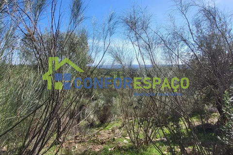 Landejendom i Castelo Branco, Castelo Branco, Castelo Branco - € 115.000 | Ref: 26034 - foto 25