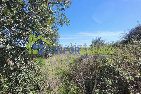 Landejendom i Castelo Branco, Castelo Branco, Castelo Branco - € 115.000 | Ref: 26034 - foto 26