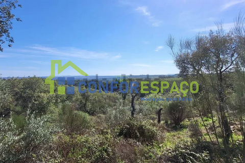 Landejendom i Castelo Branco, Castelo Branco, Castelo Branco - € 115.000 | Ref: 26034 - foto 27