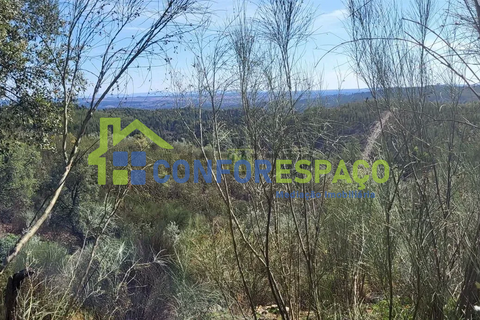 Landejendom i Castelo Branco, Castelo Branco, Castelo Branco - € 115.000 | Ref: 26034 - foto 28