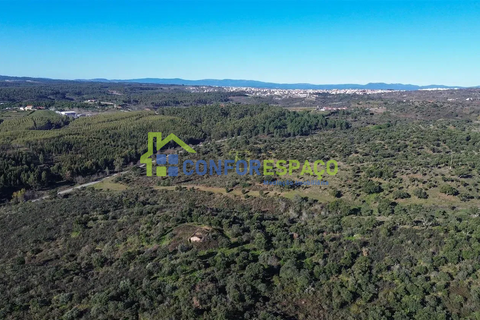 Landejendom i Castelo Branco, Castelo Branco, Castelo Branco - € 115.000 | Ref: 26034 - foto 35