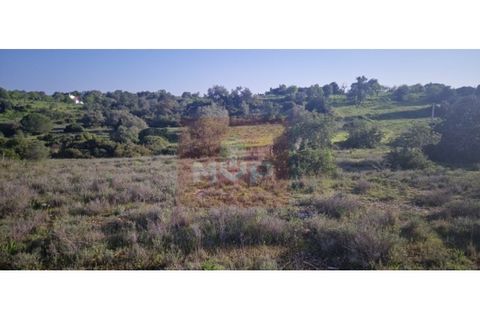 Helårsgrund i Quelfes, Faro, Quelfes - € 80.000 | Ref: 170260034 - foto 9