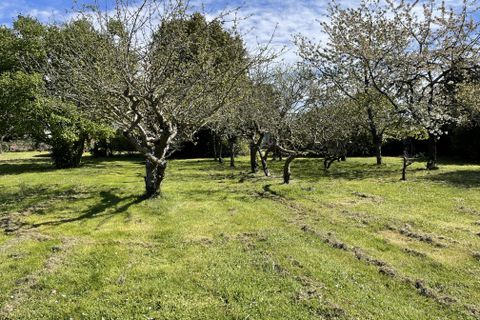 Villa a Le Coudray-Macouard, Maine-et-Loire, Le Coudray-Macouard - € 399.000 | Ref: 1577 - foto 14