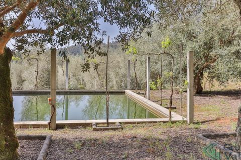 Farm i Amarante, Porto, Amarante - € 600.000 | Ref: 010571003 - foto 2