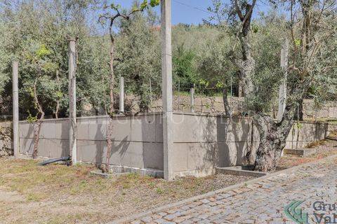 Farm i Amarante, Porto, Amarante - € 600.000 | Ref: 010571003 - foto 3