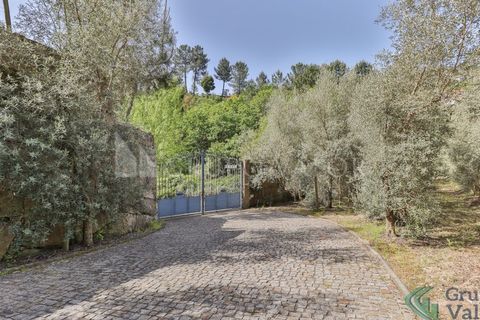 Farm i Amarante, Porto, Amarante - € 600.000 | Ref: 010571003 - foto 6