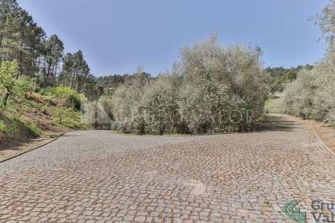 Farm i Amarante, Porto, Amarante - € 600.000 | Ref: 010571003 - foto 7