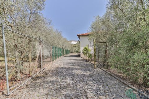 Farm i Amarante, Porto, Amarante - € 600.000 | Ref: 010571003 - foto 8