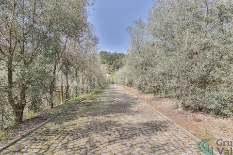 Farm i Amarante, Porto, Amarante - € 600.000 | Ref: 010571003 - foto 10