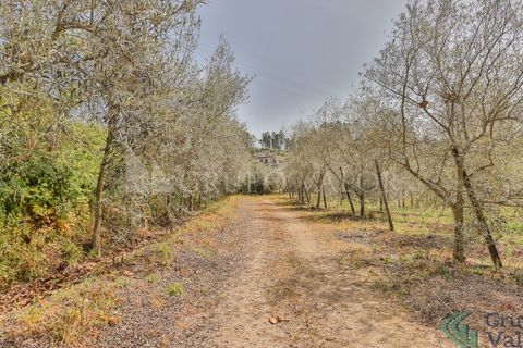 Farm i Amarante, Porto, Amarante - € 600.000 | Ref: 010571003 - foto 16