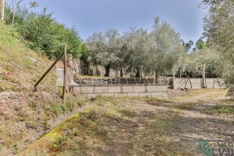 Farm i Amarante, Porto, Amarante - € 600.000 | Ref: 010571003 - foto 19