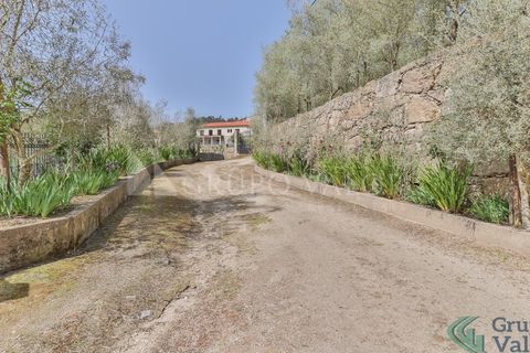 Farm i Amarante, Porto, Amarante - € 600.000 | Ref: 010571003 - foto 20