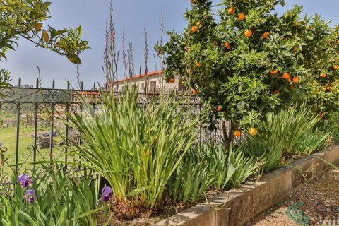 Farm i Amarante, Porto, Amarante - € 600.000 | Ref: 010571003 - foto 21