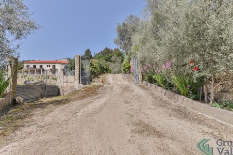 Farm i Amarante, Porto, Amarante - € 600.000 | Ref: 010571003 - foto 22
