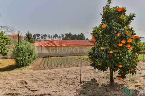 Farm i Amarante, Porto, Amarante - € 600.000 | Ref: 010571003 - foto 28