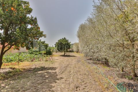 Farm i Amarante, Porto, Amarante - € 600.000 | Ref: 010571003 - foto 29