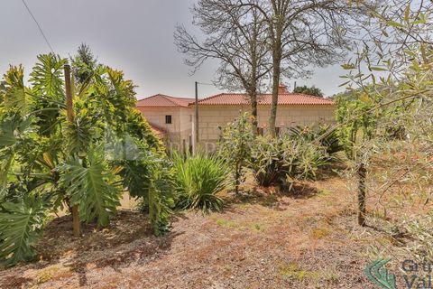 Farm i Amarante, Porto, Amarante - € 600.000 | Ref: 010571003 - foto 31