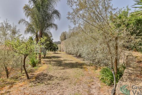 Farm i Amarante, Porto, Amarante - € 600.000 | Ref: 010571003 - foto 32