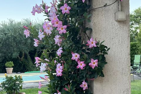 Byhus i Seillans, Var, Seillans - € 395.000 | Ref: 86873592 - foto 2