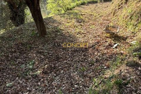 Helårsgrund i Contes, Alpes-Maritimes, Contes - € 190.000 | Ref: getkey_u_521844950 - foto 3