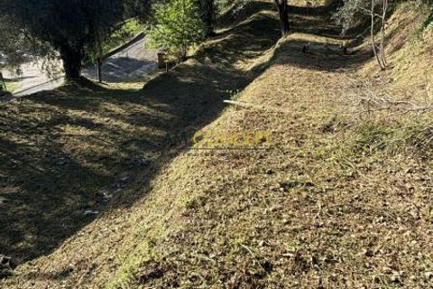 Helårsgrund i Contes, Alpes-Maritimes, Contes - € 190.000 | Ref: getkey_u_521844950 - foto 4