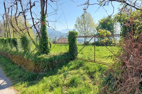 Byhus i Vieira do Minho, Braga, Vieira do Minho - € 130.000 | Ref: 212156 - foto 7