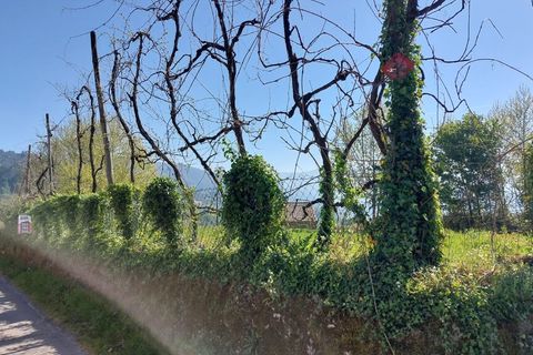 Byhus i Vieira do Minho, Braga, Vieira do Minho - € 130.000 | Ref: 212156 - foto 16