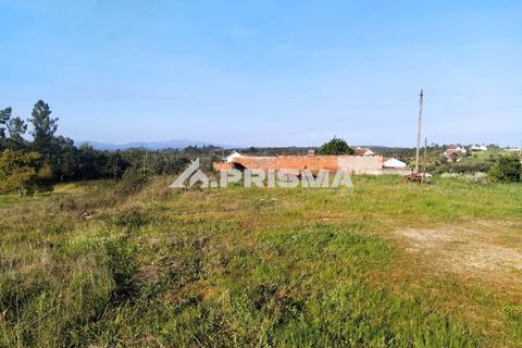 Helårsgrund i Castelo Branco, Castelo Branco, Castelo Branco - € 23.500 | Ref: PP4744 - foto 1